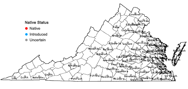 Locations ofIpomoea coccinea L. in Virginia