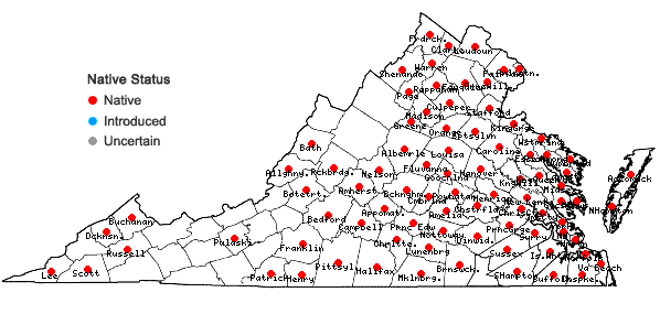 Locations ofIpomoea lacunosa L. in Virginia