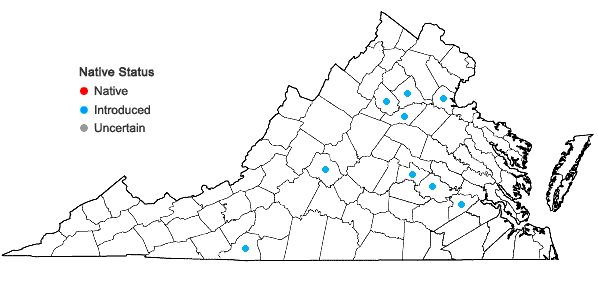 Locations ofIris germanica L. in Virginia