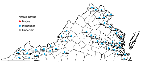 Locations ofIris pseudacorus L. in Virginia