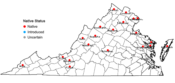 Locations ofIris versicolor L. in Virginia