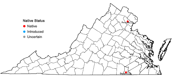 Locations ofIsoetes appalachiana Brunton and Britton in Virginia