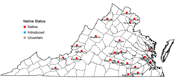 Locations ofIsoetes engelmannii A. Braun in Virginia