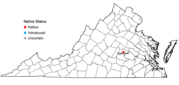 Locations ofIsoetes piedmontana (N.E. Pfeiffer) C.F. Reed in Virginia