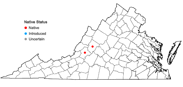 Locations ofIsoetes × altonharvillii Musselman & Bray in Virginia