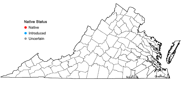 Locations ofIsolepis carinata Hook. & Arnott ex Torr. in Virginia