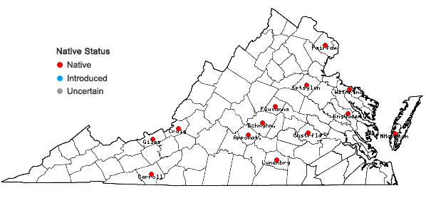 Locations ofIsopaches bicrenatus (Schmidel ex Hoffm.) H. Buch var. bicrenatus in Virginia