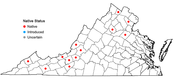 Locations ofIsopterygiopsis muelleriana (Schimp.) Z. Iwats. in Virginia