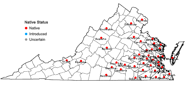 Locations ofIsopterygium tenerum (Sw.) Mitt. in Virginia