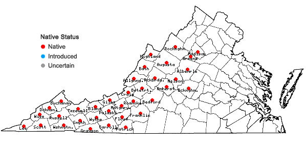 Locations ofIsotrema macrophyllum (Lam.) C.F. Reed in Virginia