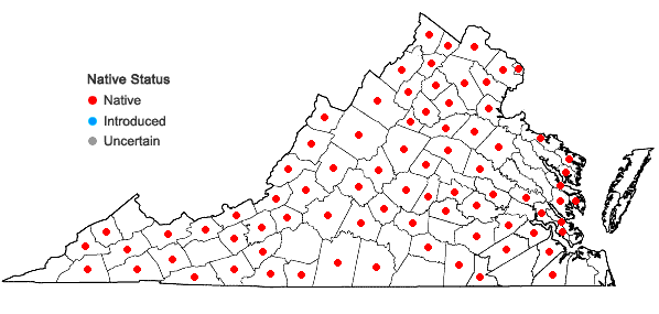 Locations ofIsotria verticillata (Muhl. ex Willd.) Raf. in Virginia