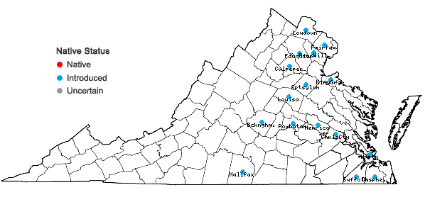 Locations ofIva annua L. in Virginia