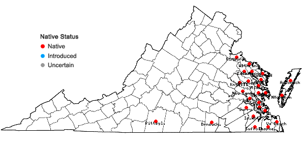 Locations ofIva frutescens L. in Virginia