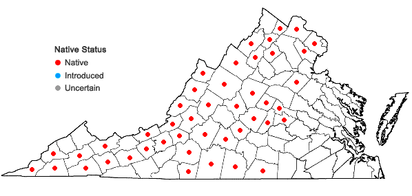 Locations ofJeffersonia diphylla (L.) Pers. in Virginia