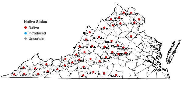 Locations ofJeffersonia diphylla (L.) Pers. in Virginia