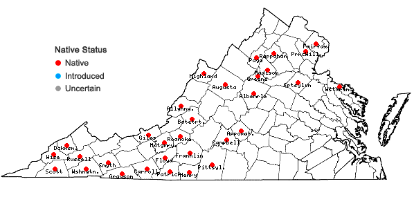 Locations ofJubula pennsylvanica (Stephani) A. Evans ssp. pennsylvanica in Virginia