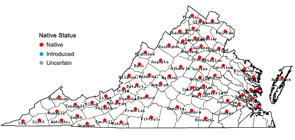 Locations ofJuglans cinerea L. in Virginia