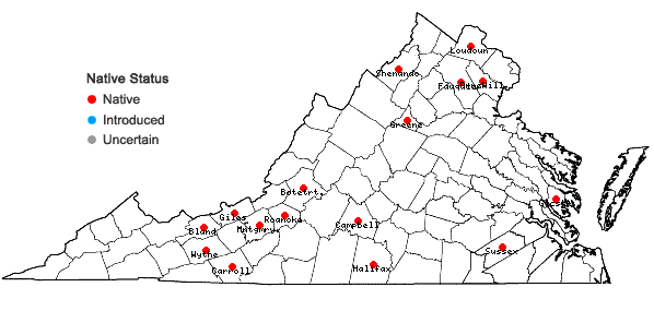 Locations ofJuncus anthelatus (Wieg.) R.E. Brooks in Virginia