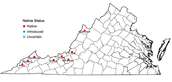 Locations ofJuncus articulatus L. in Virginia