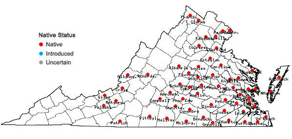 Locations ofJuncus biflorus Ell. in Virginia