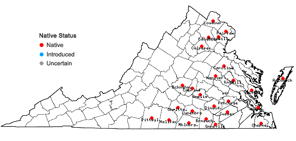 Locations ofJuncus brachycarpus Engelm. in Virginia