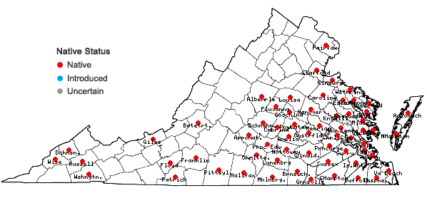 Locations ofJuncus coriaceus Mackenzie in Virginia