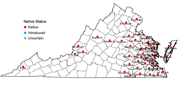 Locations ofJuncus debilis Gray in Virginia