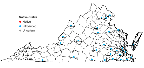 Locations ofJuncus diffusissimus Buckl. in Virginia