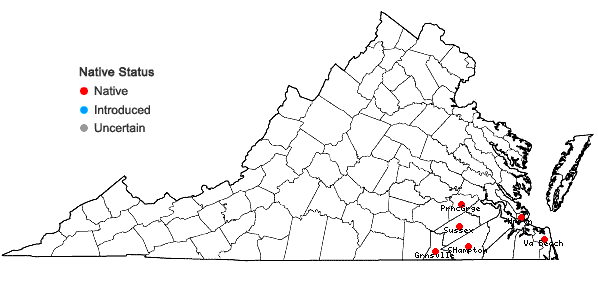 Locations ofJuncus elliottii Chapman in Virginia