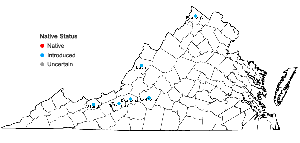 Locations ofJuncus inflexus L. in Virginia