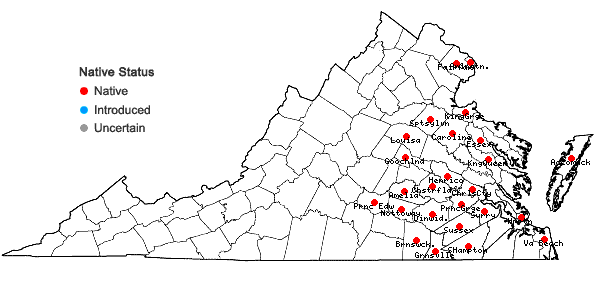 Locations ofJuncus longii Fern. in Virginia