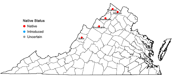 Locations ofJuncus nodosus L. in Virginia