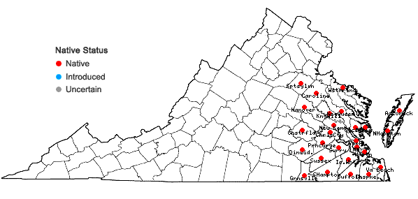 Locations ofJuncus repens Michaux in Virginia