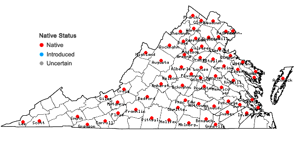 Locations ofJuncus secundus Beauv. ex Poir. in Virginia