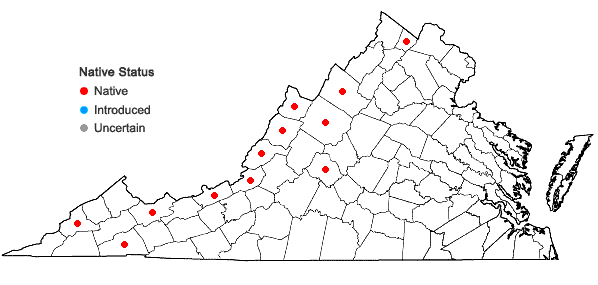 Locations ofJuncus tweedyi Rydberg in Virginia