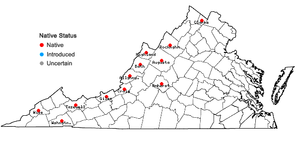 Locations ofJuncus tweedyi Rydberg in Virginia