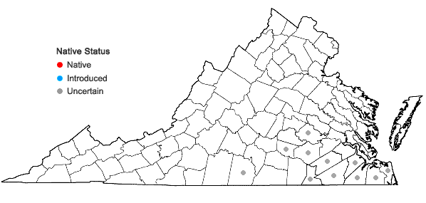 Locations ofJuncus validus Coville var. validus in Virginia