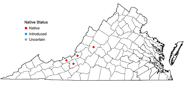 Locations ofJungermannia pumila With.            in Virginia