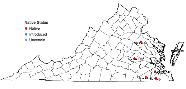 Locations ofKalmia angustifolia L. in Virginia