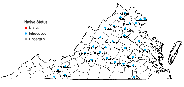 Locations ofKochia scoparia (L.) Schrader ssp. scoparia in Virginia