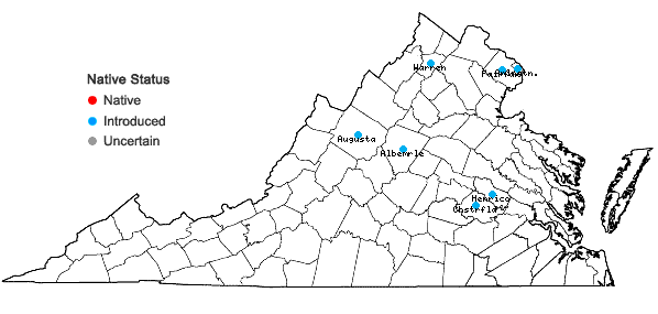 Locations ofKoelreuteria paniculata Laxmann in Virginia