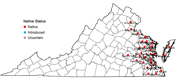 Locations ofKosteletzkya pentacarpos (L.) Ledebour in Virginia