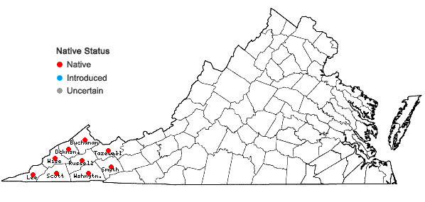 Locations ofKrigia biflora (Walt.) Blake var. biflora in Virginia