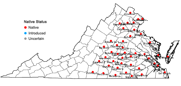 Locations ofKrigia dandelion (L.) Nutt. in Virginia