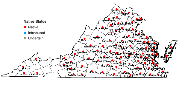 Locations ofKrigia virginica (L.) Willd. in Virginia