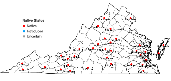 Locations ofKurzia sylvatica (A. Evans) Grolle in Virginia