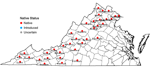 Locations ofLactuca biennis (Moench) Fern. in Virginia