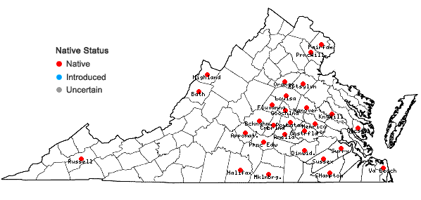 Locations ofLactuca hirsuta Muhl. ex Nutt. in Virginia