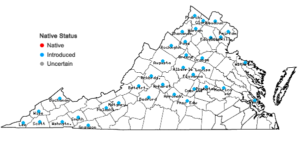 Locations ofLactuca saligna L. in Virginia