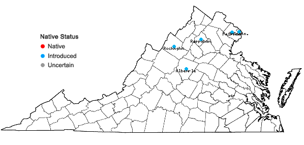 Locations ofLamium galeobdolon (L.) L. in Virginia